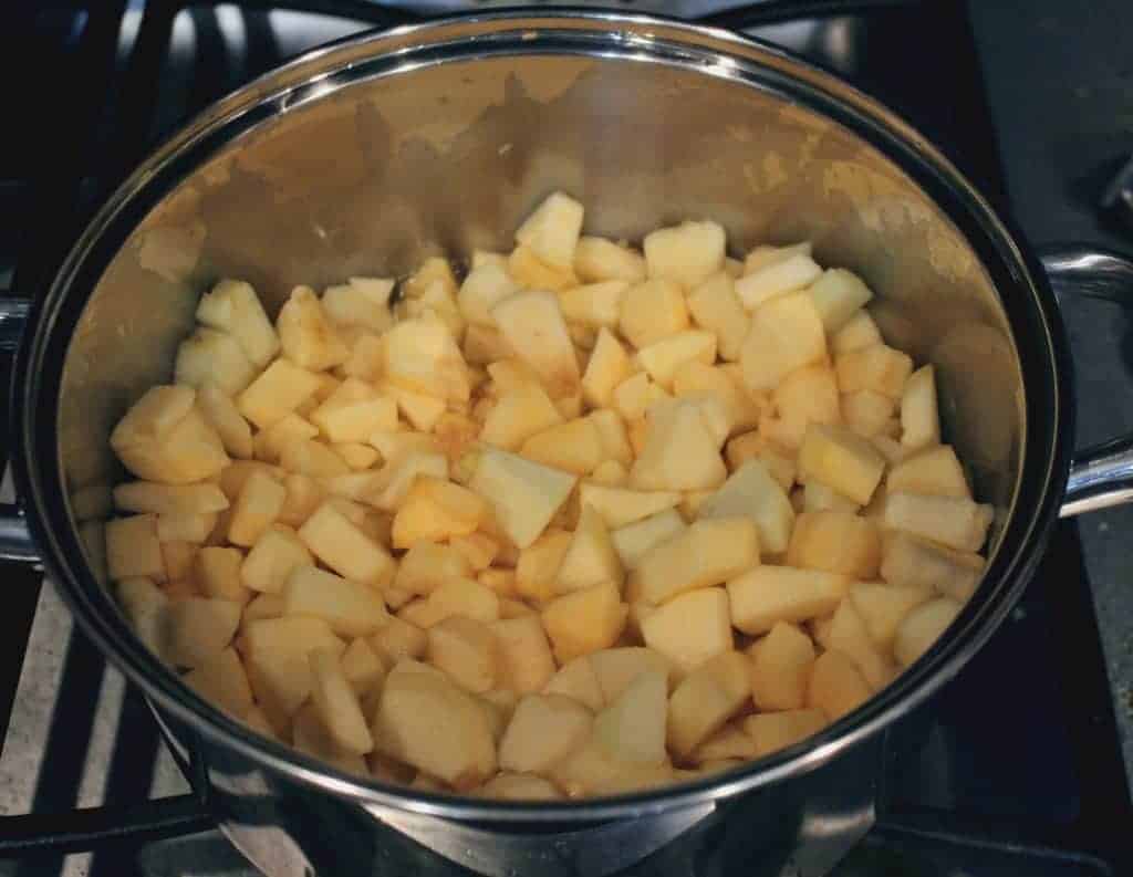 apple chopped and placed in a pot