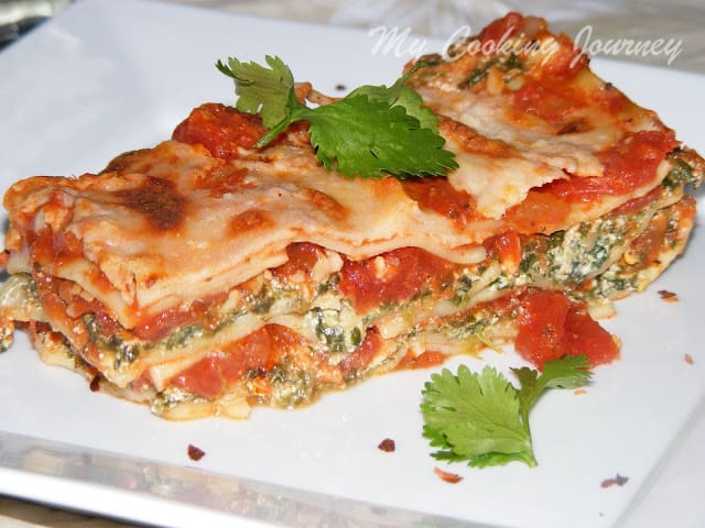 Lasagna with Tomato Sauce in a tray 