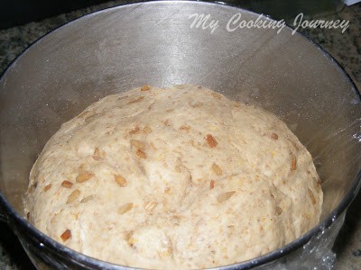 Dough rise in the bowl