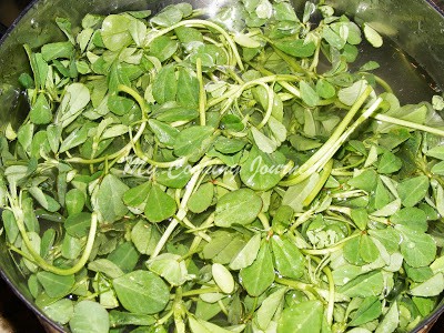 Cutting roots of methi in a bowl