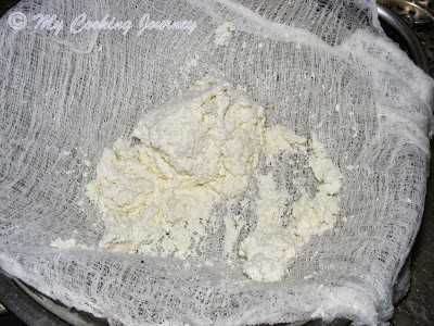 Preparing paneer from milk