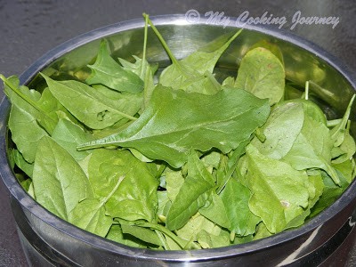 Greens spinach in a bowl