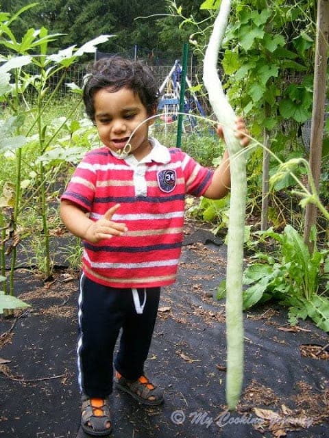 My child in a garden