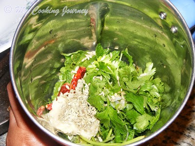 fennel seeds, ginger, garlic, mint leaves, cilantro, green chilies and red chilies