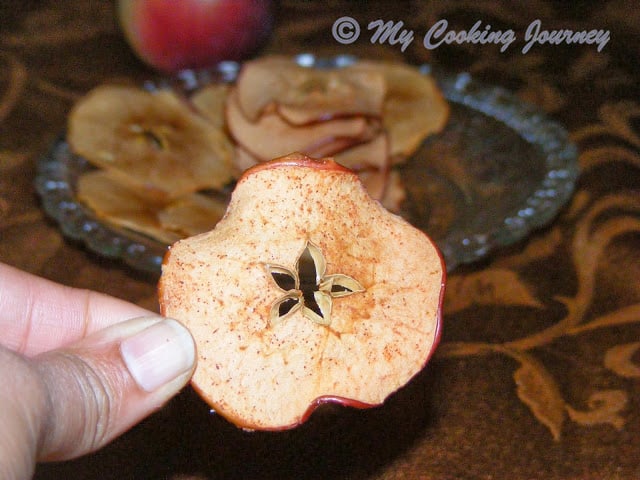 Holding a single apple chip in hand