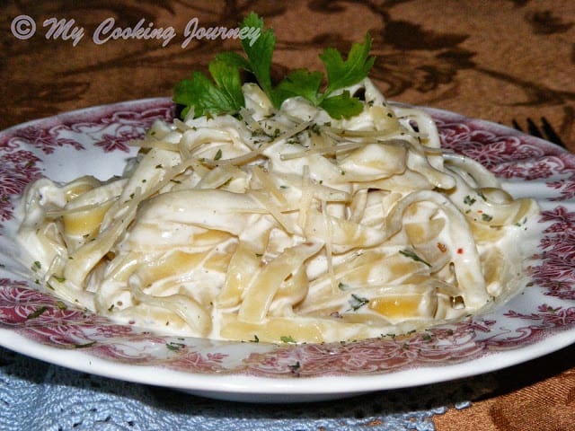 Fettucine Alfredo  garnish with cilantro