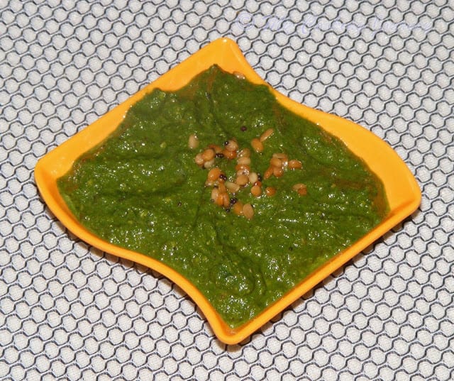 Kothamalli Thuvayal - Final dish