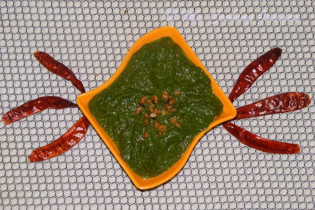 KOTHAMALLI THUVAYAL in a bowl with chillis in the side for decoration