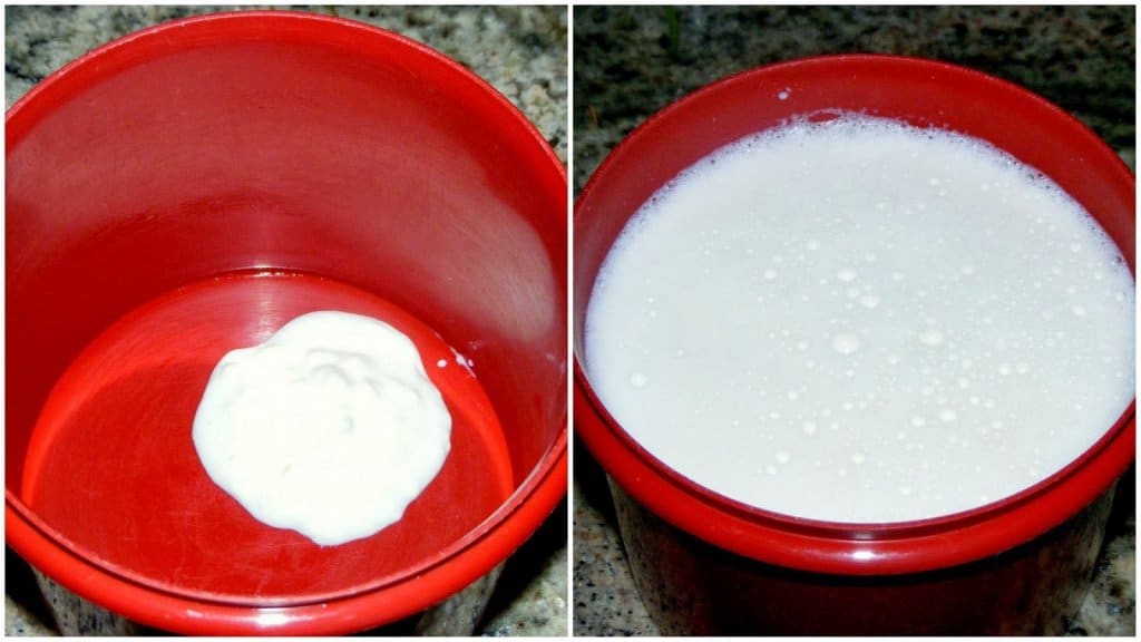 Adding milk in a container
