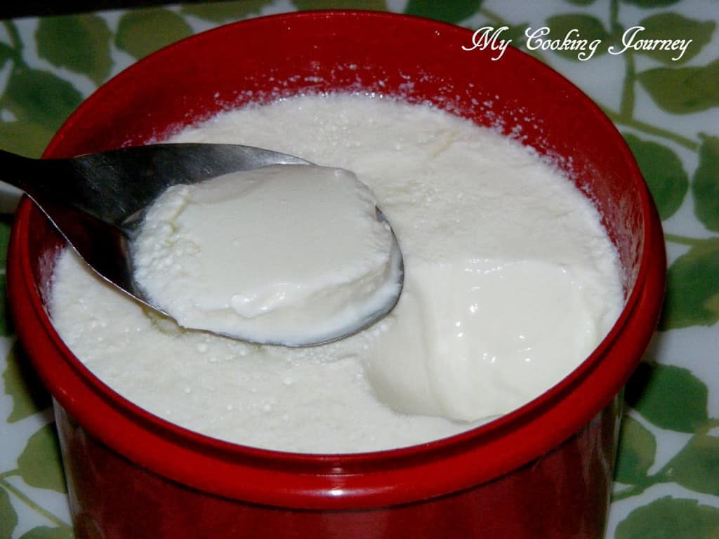 Homemade Yogurt in a container