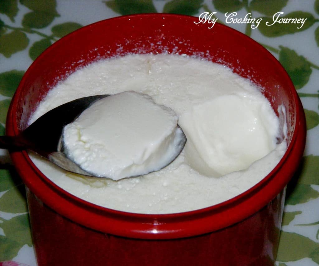 Homemade Yogurt in red container and spoon