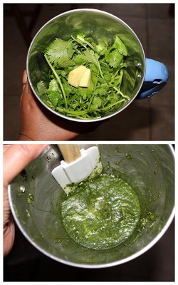 grinding cilantro and ginger in mixer