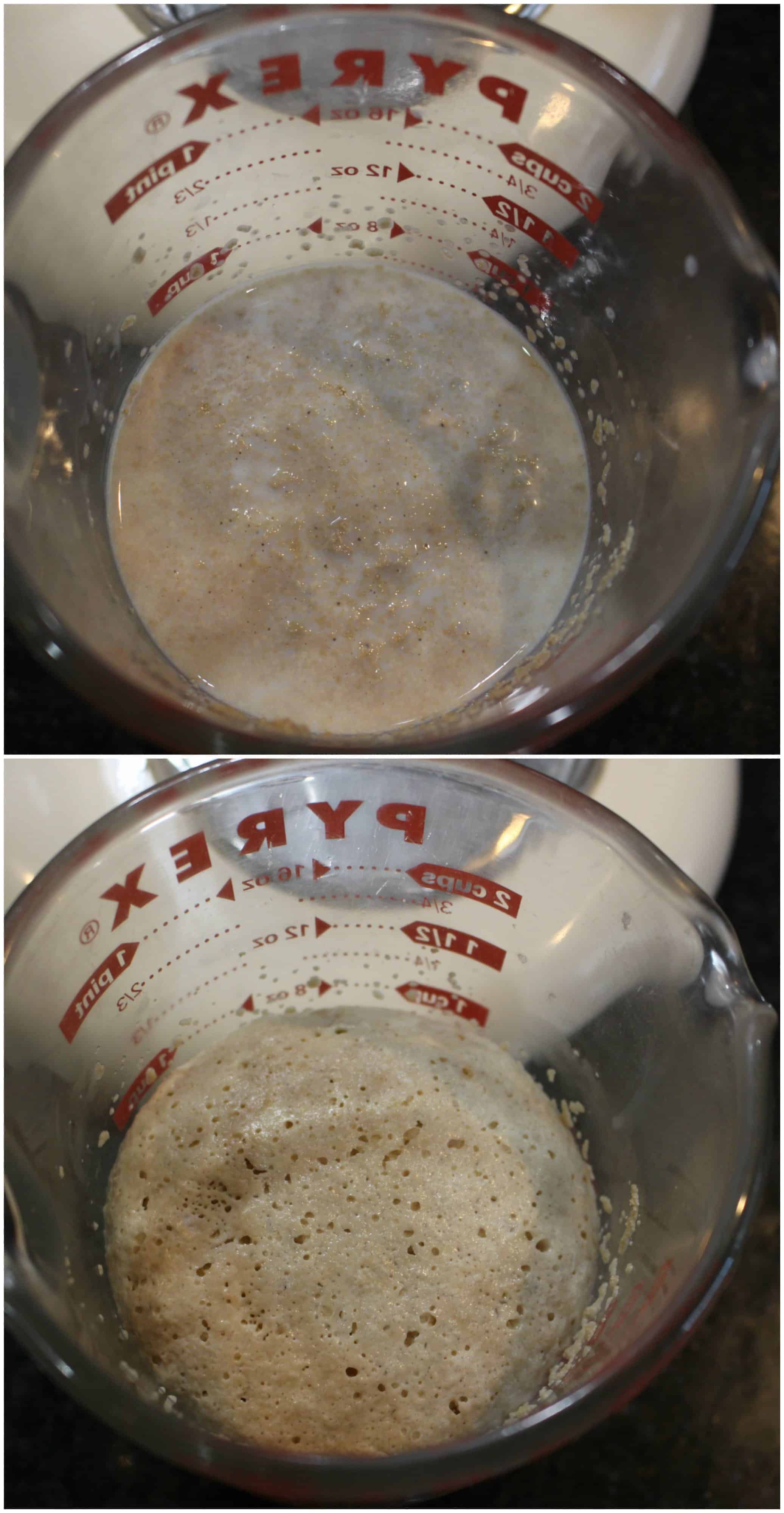 Proofing Yeast