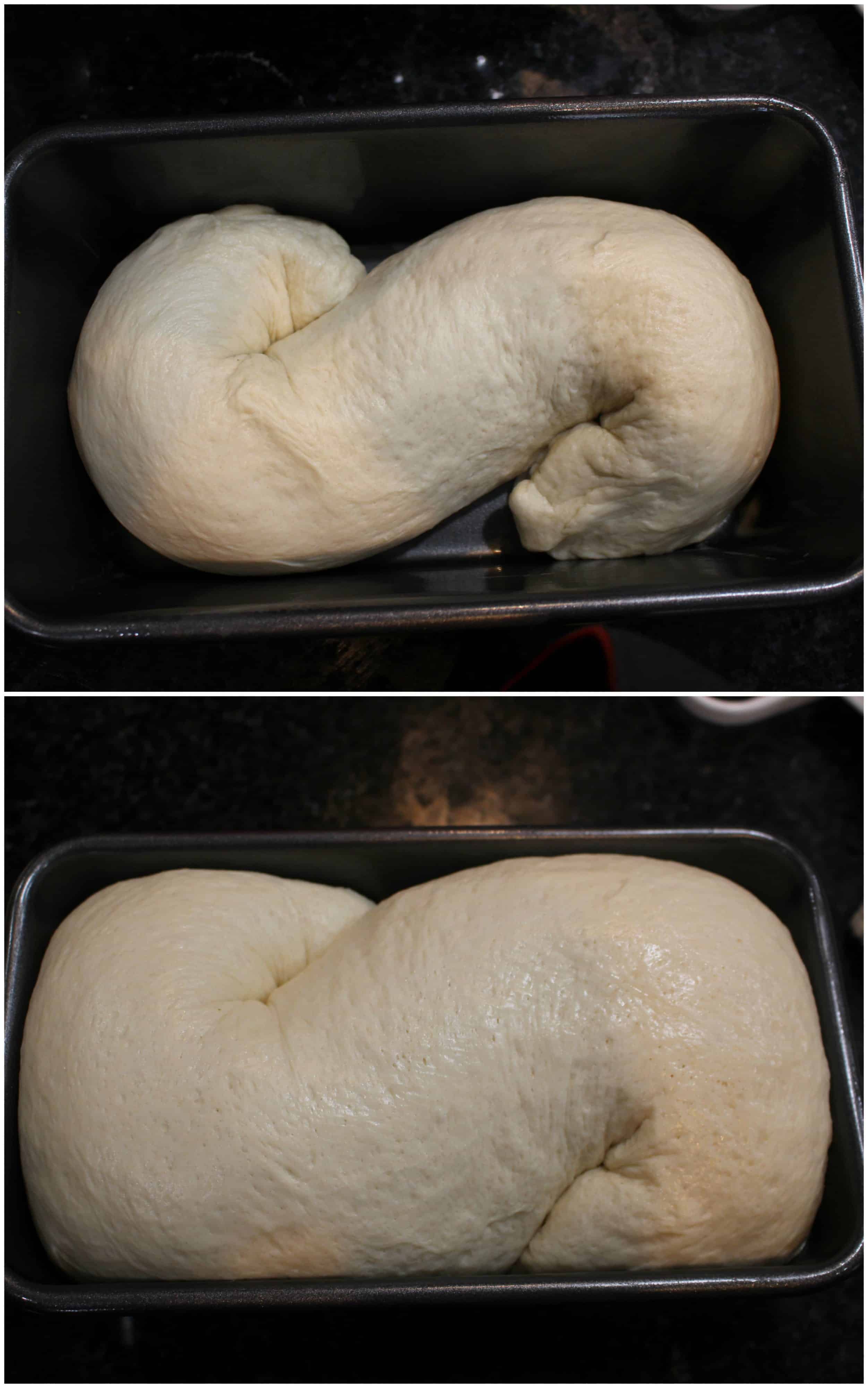Proofing Shaped Dough