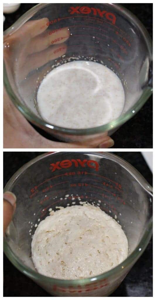 Milk with Sugar and yeast