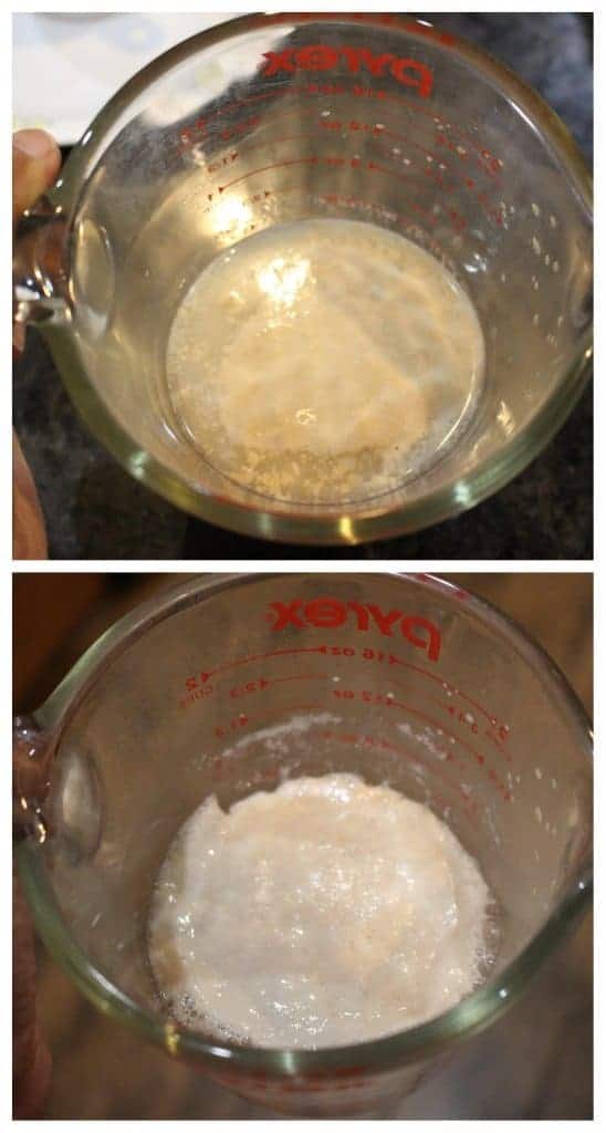 Proofing yeast
