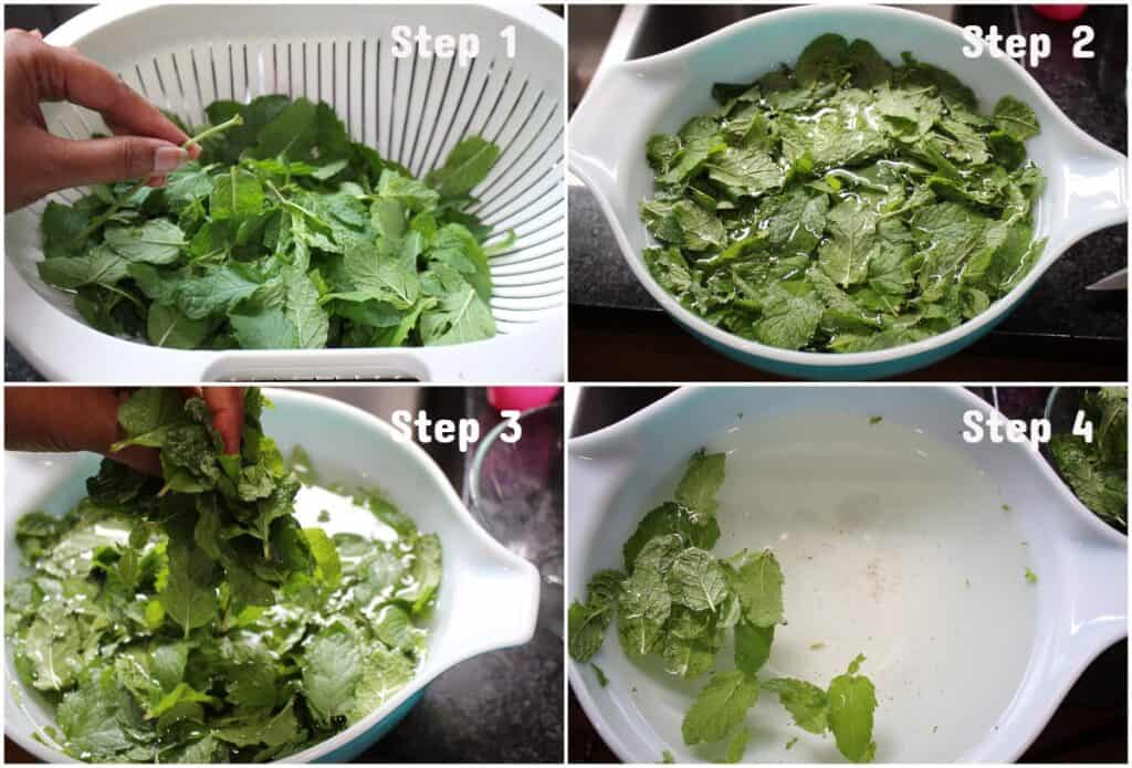 How to clean mint leaves